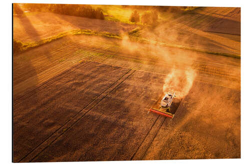 Print på aluminium Harvester at harvest