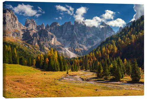 Canvas print Val Venegia