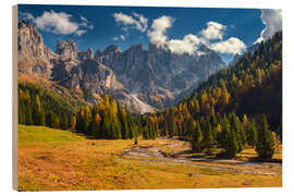 Stampa su legno Val Venegia