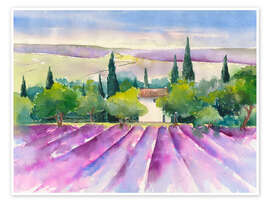 Wall print  Lavender field - Jitka Krause