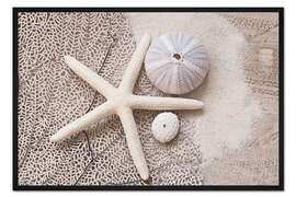 Gerahmter Kunstdruck Strandschätze