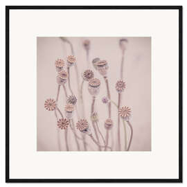 Ingelijste kunstdruk Pastel Poppy