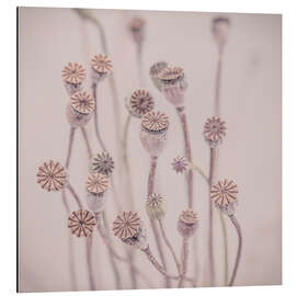 Magnettafel Pastellmohn