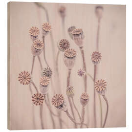 Wood print Pastel Poppy