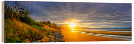 Wood print Sunset in Abel Tasman