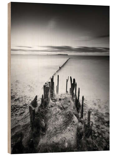 Trebilde Fragments on the beach
