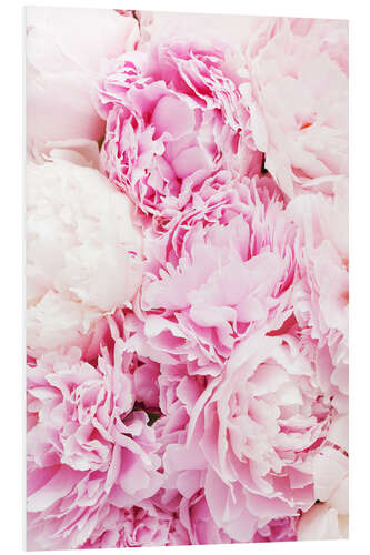 Foam board print Pink peonies