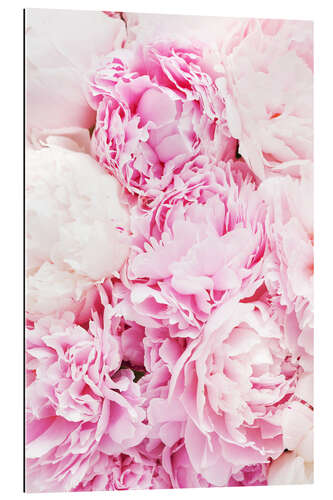 Tableau en plexi-alu Pivoines roses