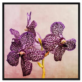 Gerahmter Kunstdruck Orchidee