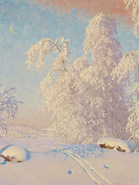 Magnettafel Skispuren in der Winterlandschaft