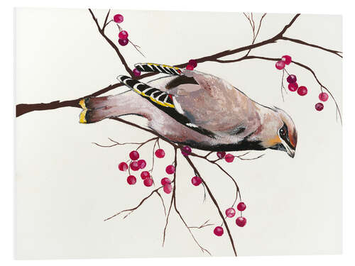 Foam board print Waxwing