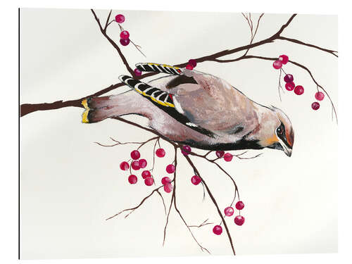 Gallery print Waxwing