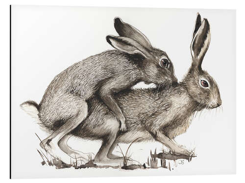 Aluminium print Couples of Hares