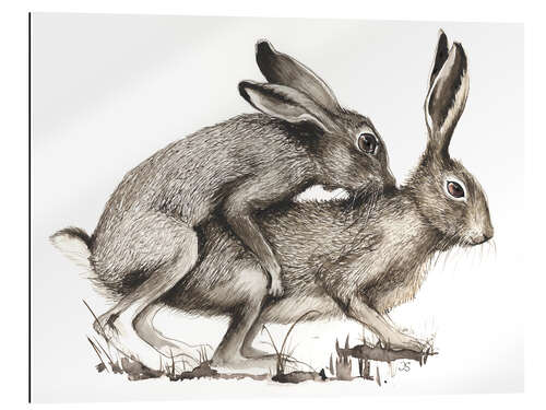 Gallery print Couples of Hares