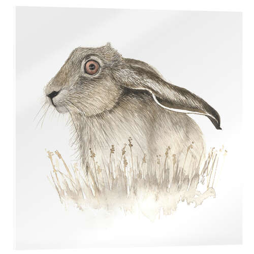 Acrylic print Hare