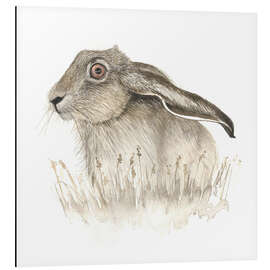 Aluminium print Hare