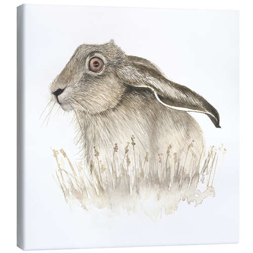 Canvas print Hare