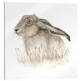 Gallery print Hare