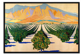 Gerahmter Kunstdruck Südafrikanische Orangenplantagen