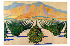 Foam board print South African Orange Orchards