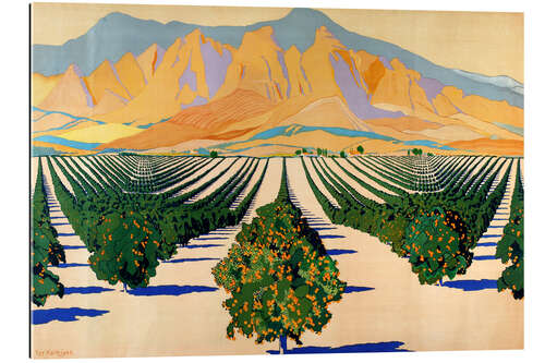 Gallery print South African Orange Orchards