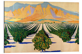 Magnettafel Südafrikanische Orangenplantagen