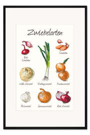 Gerahmter Kunstdruck Zwiebelarten