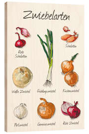 Wood print Onion species