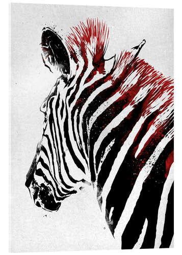 Acrylglasbild Zebra