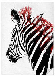 Selvklebende plakat Zebra