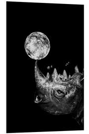 Foam board print Rhino Space