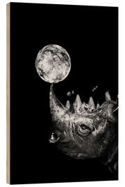 Hout print Rhino Space