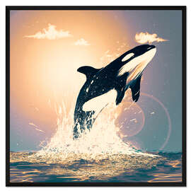 Gerahmter Kunstdruck Orcas können fliegen