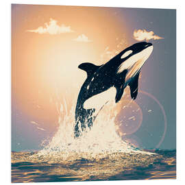 Foam board print Orcas can fly