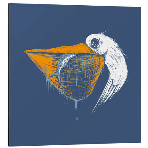 Obraz na aluminium Great white pelican
