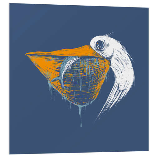 Foam board print Great white pelican