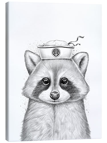 Canvas print Raccoon sailor