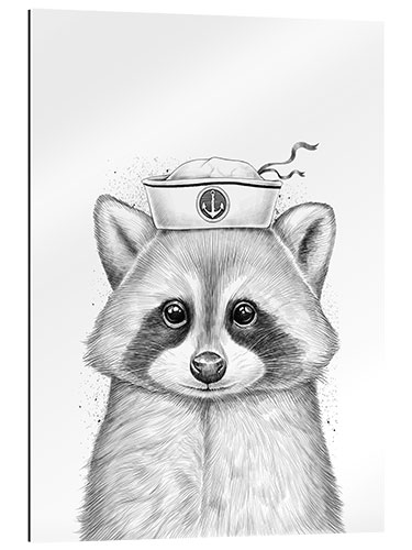 Galleriataulu Raccoon sailor