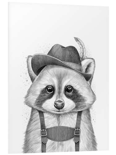 Foam board print Raccoon from Bavaria