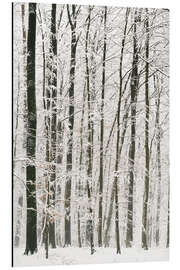 Tableau en aluminium Arbres en hiver sous la neige