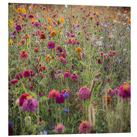 Foam board print Wild flowers