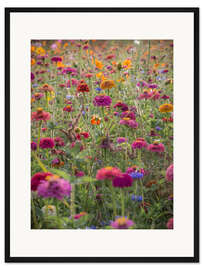Gerahmter Kunstdruck Die Bunten Wildblumen Frankreichs