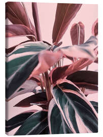 Canvas print Foliage on pink