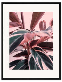 Gerahmter Kunstdruck Blattwerk auf Rosa