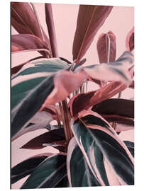 Magnettafel Blattwerk auf Rosa