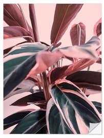 Wall sticker Foliage on pink