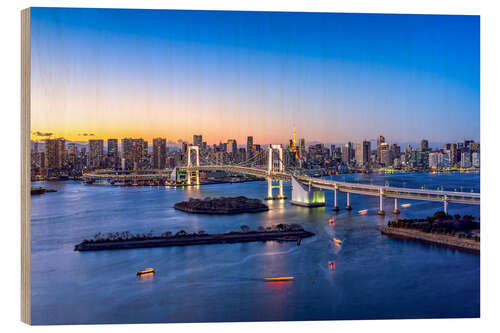 Wood print Rainbow Bridge and Tokyo Tower