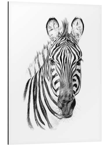 Aluminiumsbilde Zebra sketch