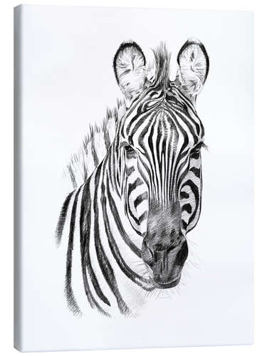 Canvas print Zebra Sketch