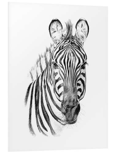 Foam board print Zebra Sketch